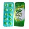 Dabur Pudin Hara