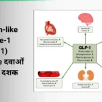 Glycogen-like Peptide-1 (GLP‑1) Alternative दवाओं का अगला दशक: Pancreatologic क्रांति बिना मांसपेशियों की कमी के