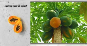 What are the Benefits of Papaya: गर्मियों में खाने से होते है फायदे